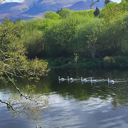 The Ring Of Kerry Riverside * Killorglin