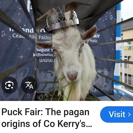 The Ring Of Kerry Riverside Killorglin