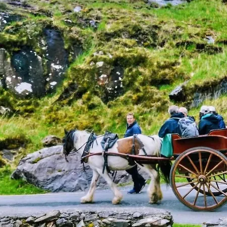 The Ring Of Kerry Riverside Appartement *